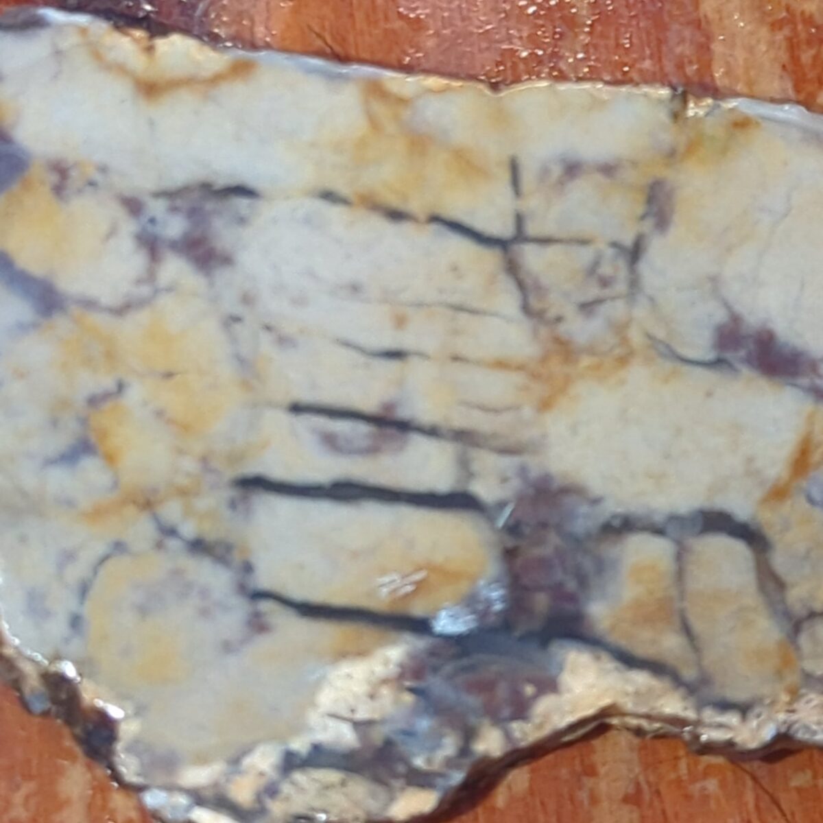 8525-unknown-jasper-7