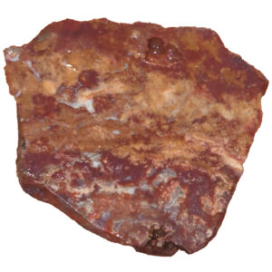 8527 Unknown Agate Lapidary Slab, shown wet