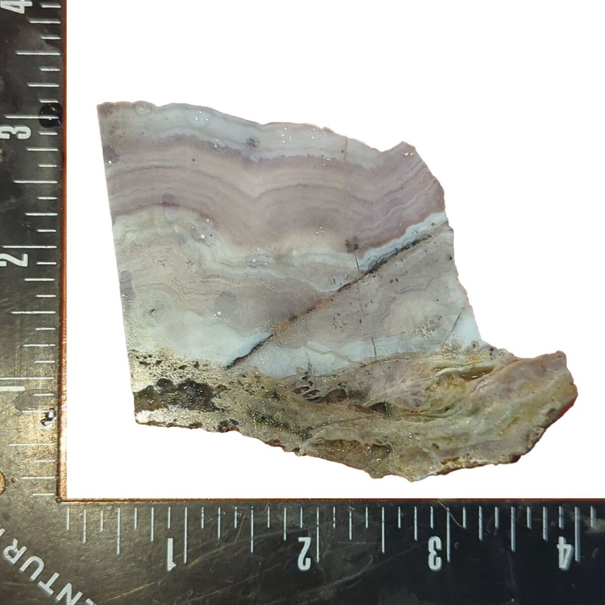 8528-sowbelly-agate-2