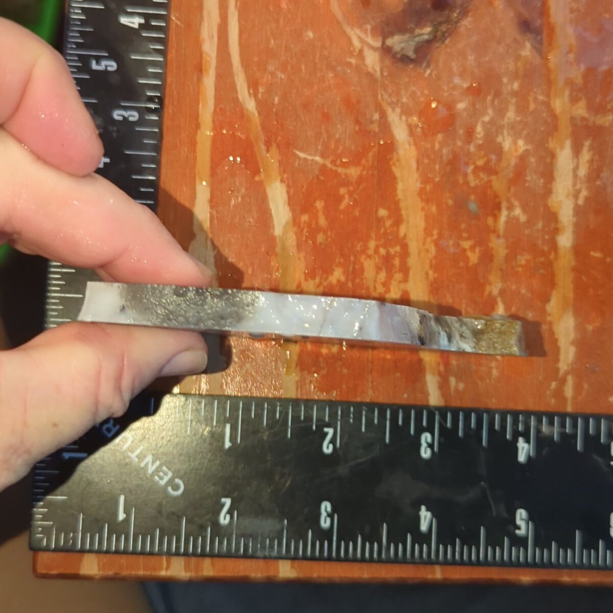 8528-sowbelly-agate-3