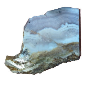8528 Sowbelly Agate Lapidary Slab, shown wet