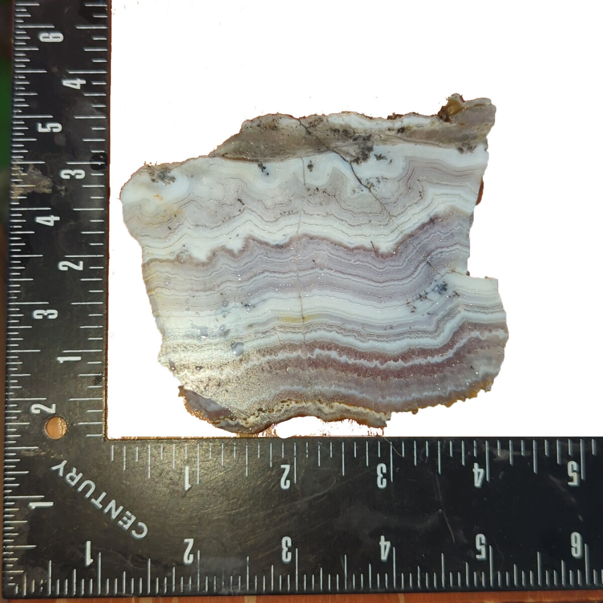 8529-sowbelly-agate-1