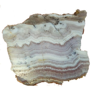8529 Sowbelly Agate Lapidary Slab, shown wet