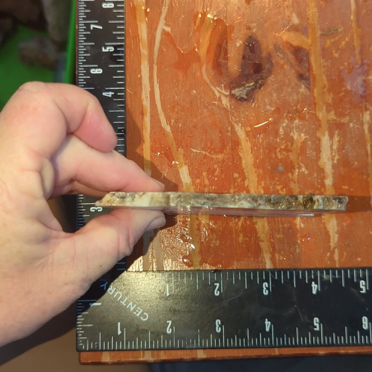 8529-sowbelly-agate-3