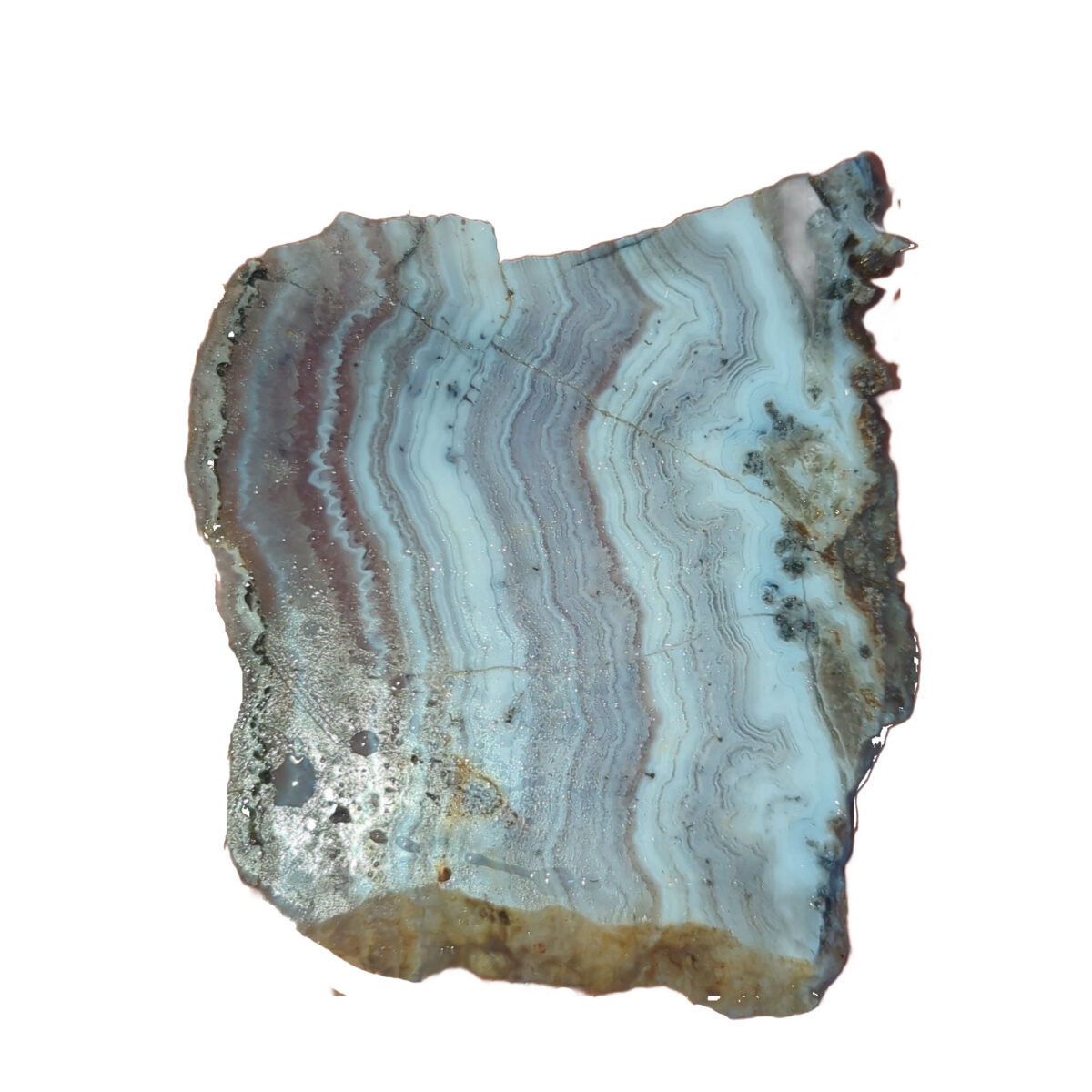 8529-sowbelly-agate-4