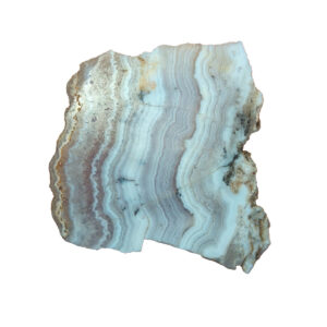 8530 Sowbelly Agate Lapidary Slab, shown wet